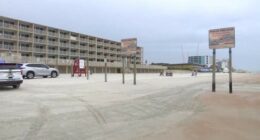 Yea or neigh? Volusia County may open beaches for horseback riding