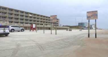 Yea or neigh? Volusia County may open beaches for horseback riding