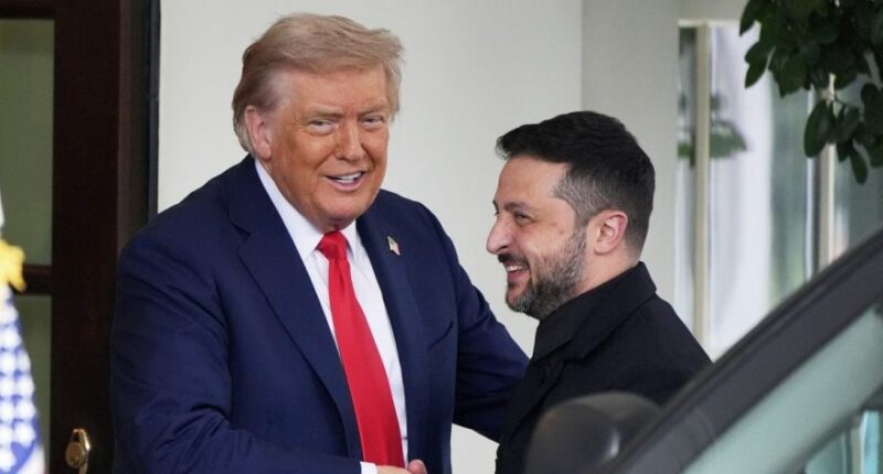Zelenskyy, Trump express hope for talks with Putin to end war