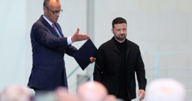 Zelenskyy meets Merkel ahead of Trump-Putin summit talks