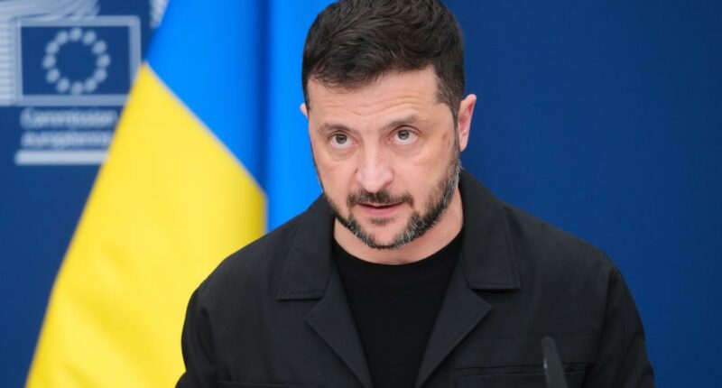 Zelenskyy to meet Trump with European leaders on Ukraine security