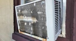 ‘Hot like hell:’ Parramore struggles with major heat advisory