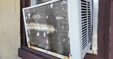 ‘Hot like hell:’ Parramore struggles with major heat advisory
