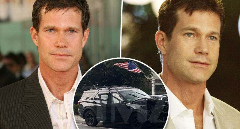 ‘Nip/Tuck’ star Dylan Walsh allegedly had open cans of White Claw in SUV after car crash: report