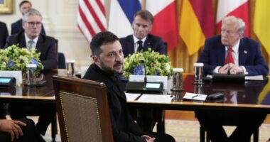 ‘Stop the Killing’: Trump, European Leaders Discuss Ending Russia-Ukraine War at White House