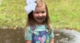 2-Year-Old Georgia Tot Drowns at Brother’s Swim Meet Despite Three Lifeguards at Pool