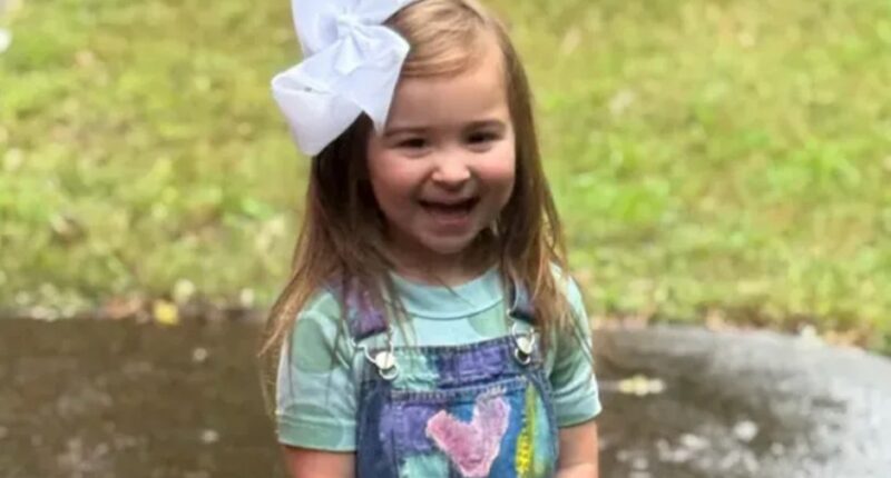 2-Year-Old Georgia Tot Drowns at Brother’s Swim Meet Despite Three Lifeguards at Pool