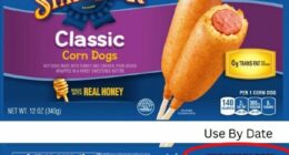 58M pounds of corn dogs, sausage-on-a-stick products recalled over wood pieces