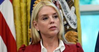 Bondi deploys Justice Department agents to ICE facilities