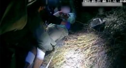 Border Patrol agents rescue cyclist who fell 'more than 50 feet' into remote canyon