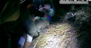 Border Patrol agents rescue cyclist who fell 'more than 50 feet' into remote canyon