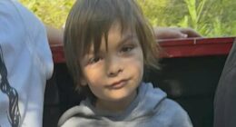 Boy, 6, missing in Rockies for a week 'has just 5% chance of survival'