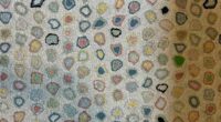 Can you find guitar pick musician dropped in just 20 seconds?