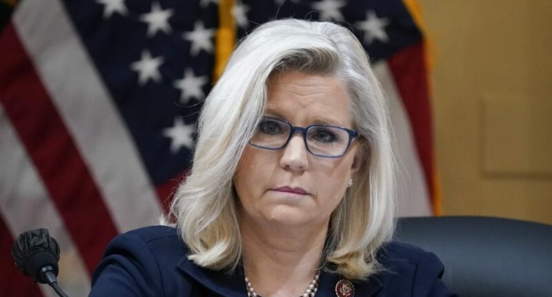 Cheney slams FCC chief after Kimmel suspension: 'You took an oath to the Constitution'