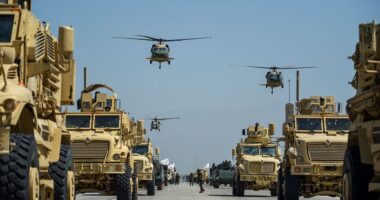China won't let Trump take Bagram Air Base back from the Taliban without a fight, expert warns
