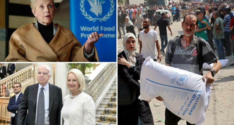 Cindy McCain under fire over UN failure to distribute emergency food in Gaza: 'Wild incompetence'