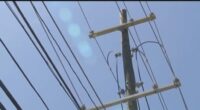 Clearwater council votes to enter appraisal phase of study, possibly drop Duke Energy