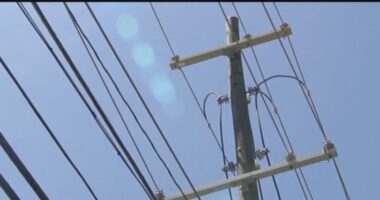 Clearwater council votes to enter appraisal phase of study, possibly drop Duke Energy