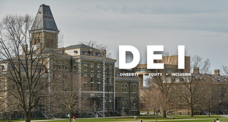 Cornell MBA council warns ‘non-marginalized’ students to avoid minority recruiting events: report