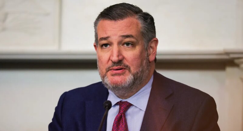 Cruz slams UN's Israel ‘genocide’ charge, pushes for consequences
