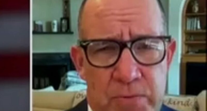 Dave Portnoy scolds 'lefty lunatic' MSNBC star for Charlie Kirk claims