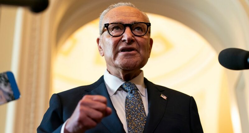 Democrats want government funding stopgap to reverse nearly $1 trillion in Medicaid cuts