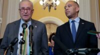 Dems are about to shoot themselves in the foot — by shutting gov't