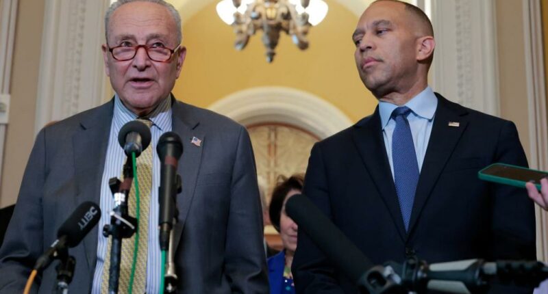 Dems are about to shoot themselves in the foot — by shutting gov't