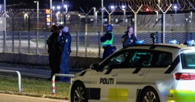 'Drones' force ANOTHER Danish airport to ground all flights