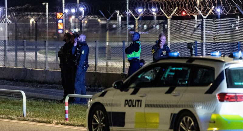 'Drones' force ANOTHER Danish airport to ground all flights