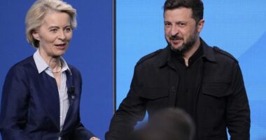 EU chief says shooting down Russian jets ‘on the table’