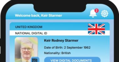 EVERY adult in Britain will need a Government-issued ID card