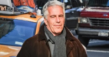 Epstein documents released by House Democrats name Elon Musk, Steve Bannon and Peter Thiel