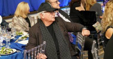 Ex-Nets co-owner and Democratic fundraiser sued for alleged assault