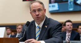 FEC vice chair, seen as contender for Chip Roy seat, to resign