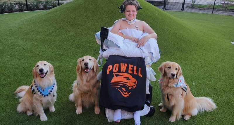 Family trip turns tragic as teen launched through windshield in crash