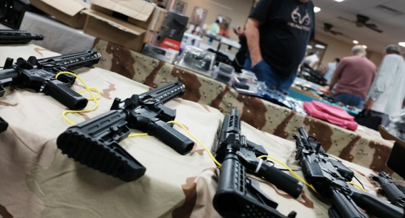 Florida introduces tax break on guns, ammo, outdoor gear