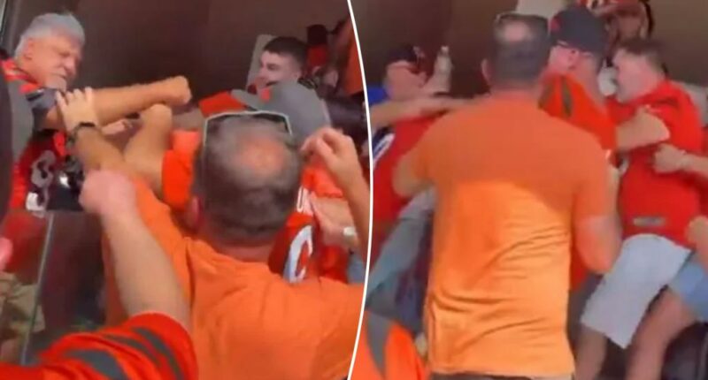 Gaggle of Joe Burrow fans turn on each other in ugly fight