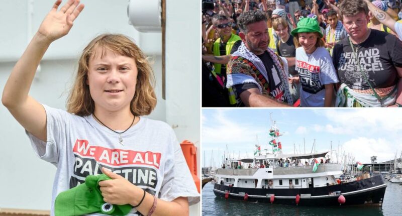 Greta Thunberg's Gaza flotilla forced to turn back