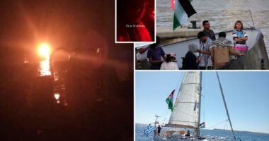 Greta Thunberg's flotilla radio hacked to blast ABBA music