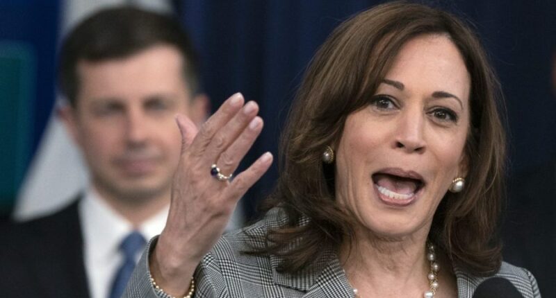 Harris says Buttigieg 'first choice' for VP in 2024 but proved 'too risky'
