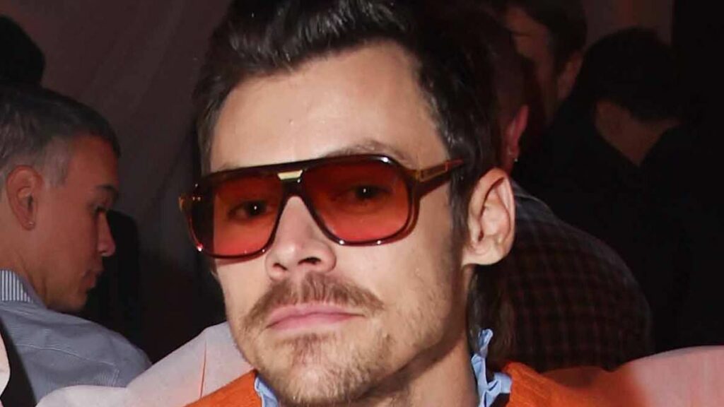 Harry Styles' neighbours 'raise concerns' over £30M mega-mansion