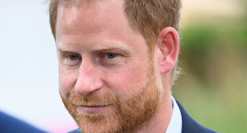 Harry will NEVER be allowed to return as a 'half-in, half-out' royal