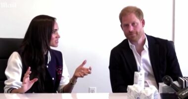How Harry collapses 'like a souffle' as Meghan interrupts him
