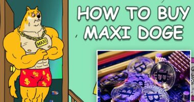 How to buy Maxi Doge (MAXI) presale and what to know before investing