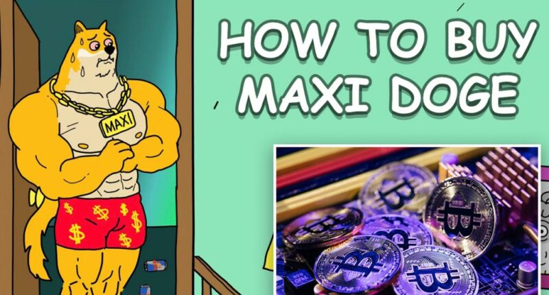 How to buy Maxi Doge (MAXI) presale and what to know before investing