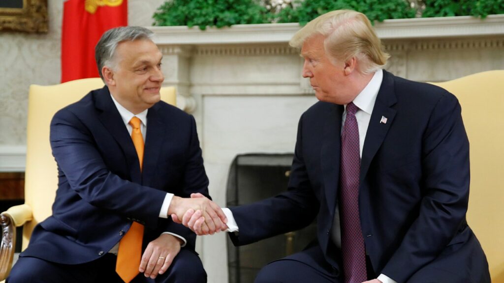 Hungarian official touts 'golden age' of US relationship, credits Trump with boosting NATO and investment