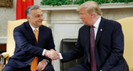 Hungarian official touts 'golden age' of US relationship, credits Trump with boosting NATO and investment