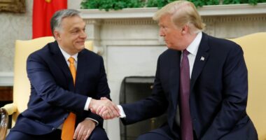 Hungarian official touts 'golden age' of US relationship, credits Trump with boosting NATO and investment