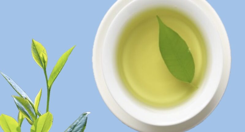 I Drank Green Tea Twice a Day for a Week and Noticed 4 Life-Changing Effects